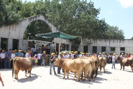 Mirandesa aposta na internacionalização