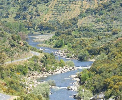 Populações de Alfândega faz homenagem ao Sabor
