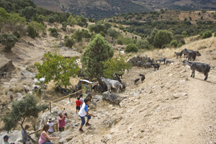 Geoparque ganha selo da UNESCO