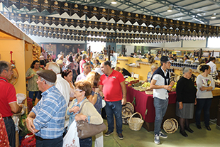 Mais de 25 mil pessoas provaram a castanha Vinhais