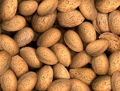 Nova fábrica aumenta preço da amêndoa em Alfândega