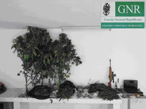 Detido supeito de tráfico de droga e posse de arma ilegal