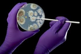 ULS do Nordeste participa em estudo internacional sobre infecções