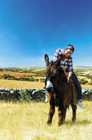 “Escapadinhas” convenceram apenas 4 por cento dos visitantes do site