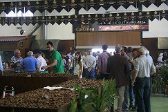 Feira da Castanha atrai mais de 25 mil pessoas a VInhais