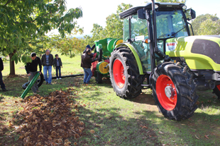 Mecanização da apanha da castanha é o futuro