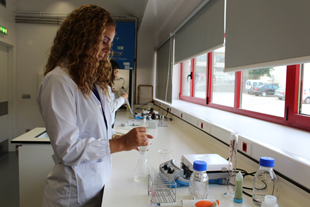 IPB lidera no ranking da investigação