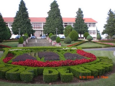 Câmara de Bragança quer que ministro da Segurança Social recue nas dispensas