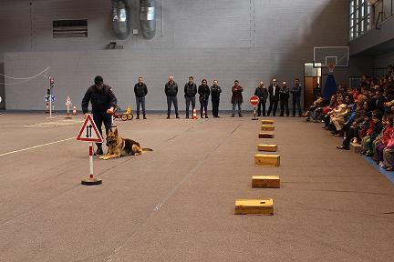 Cerca de 300 crianças de Vimioso festejaram “Dia Internacional dos Direitos da Criança”