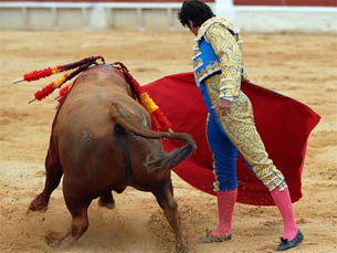 Oposição quer acabar com touradas em Vinhais