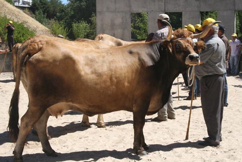 Candidaturas a subsídios até ao final do mês