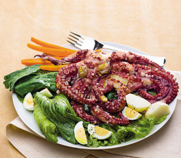 Couve penca é indispensável na mesa de Natal dos transmontanos