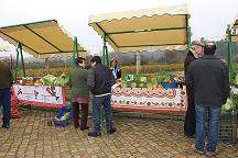Agrupamento de produtores defendido na última edição da Feira da Couve Penca de Carvalhais