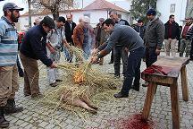 Castro Vicente recria tradição da matança do porco na I Feira do Porco Bísaro