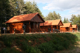 Parque Biológico de Vinhais com lotação esgotada para a passagem de ano