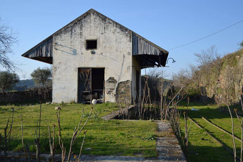 Movimento denuncia que estação do Romeu está ocupada com maquinaria e gado