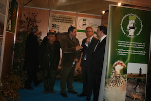 SOS Coelho para salvar a caça