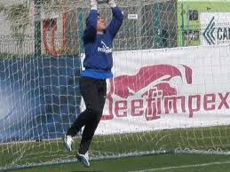 Armando quer fazer a dobradinha