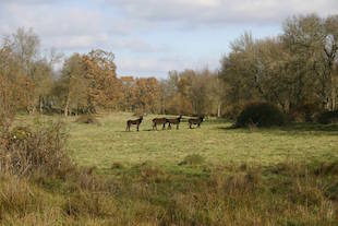 Entraves ao investimento na agricultura