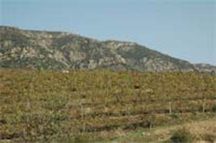 Candidaturas já ultrapassam os 100 milhões