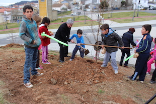 Centenas de crianças plantaram árvores em Bragança e Izeda