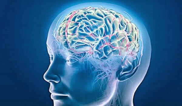 Número de casos de AVC diminuiu no distrito de Bragança