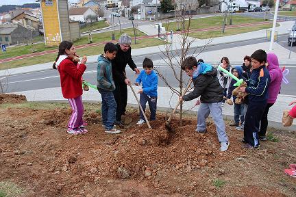 Centenas de crianças do concelho de Bragança comemoram Dia da Árvore