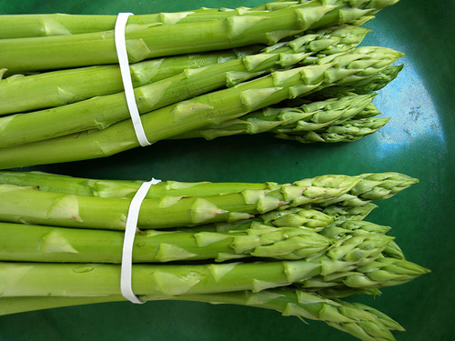 Região tem potencial para produzir espargos