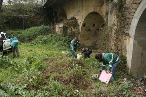 Mirandelenses adoptam árvores de fruto nos jardins da cidade