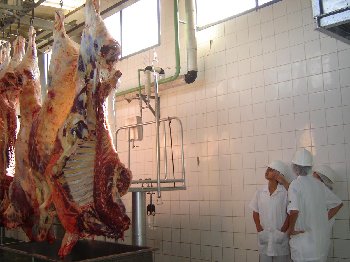 Ninguém quis o matadouro de Bragança