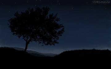 Paradinha de Besteiros sem luz há mais de 10 dias