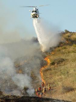 Incêndios em Bragança custaram quase 500 mil euros