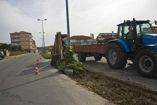 Município de Macedo de Cavaleiros investe em obras para melhorar o trânsito