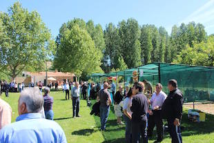 Cebolo de Alfaião pode vir a ser certificado