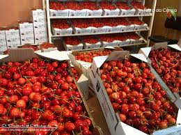 Cereja de Alfândega da Fé a um passo da certificação