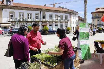 Agricultura de subsistência ganha cada vez mais adeptos