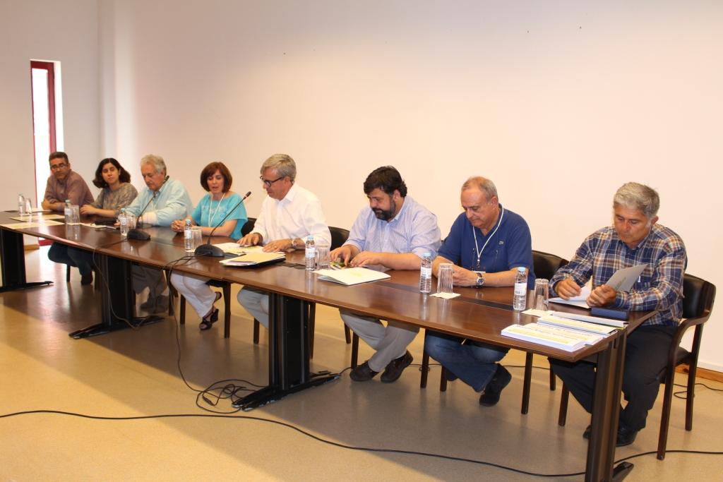 IrrigOlive ajuda a produzir mais e melhor azeite