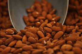 Estudo promete aumentar produtividade do amendoal Em Trás-os-Montes