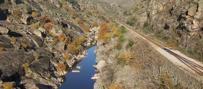 Concessão a privados do transporte no Tua criticado pelo MCLT