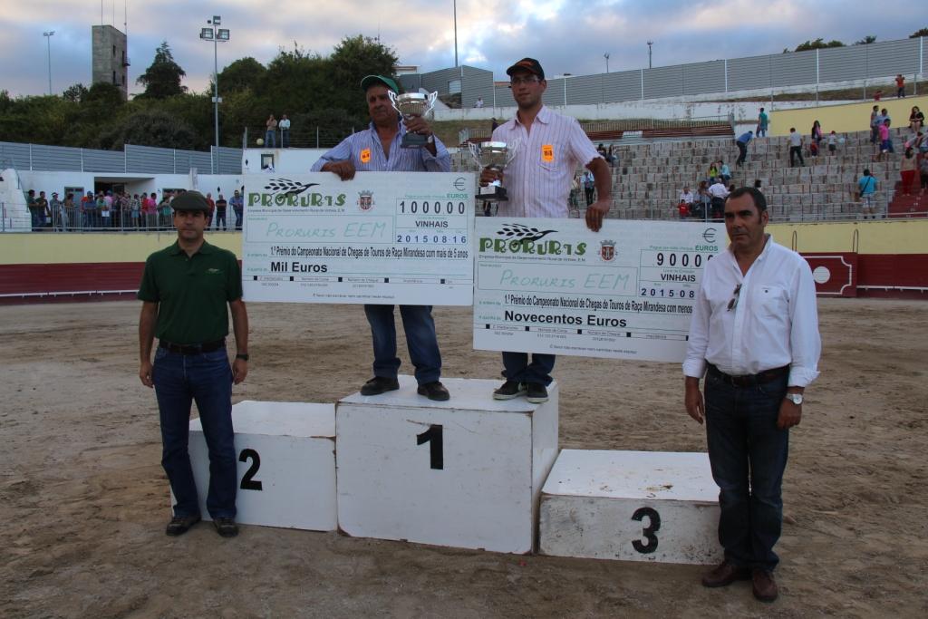 Exemplares de raça mirandesa continuam a aumentar