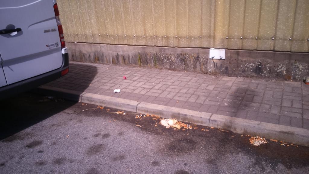 Estacionamento de carrinhas de transporte de mercadorias perturba bairro de S. Lázaro