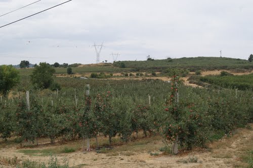 Autarca de Carrazeda reclama plano de regadio para o planalto de Ansiães