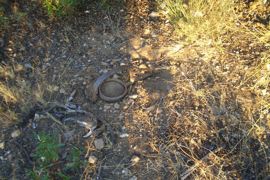 Homem detido por caça ilegal