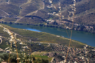 Quercus denuncia ameaça de parque eólico à paisagem do Douro