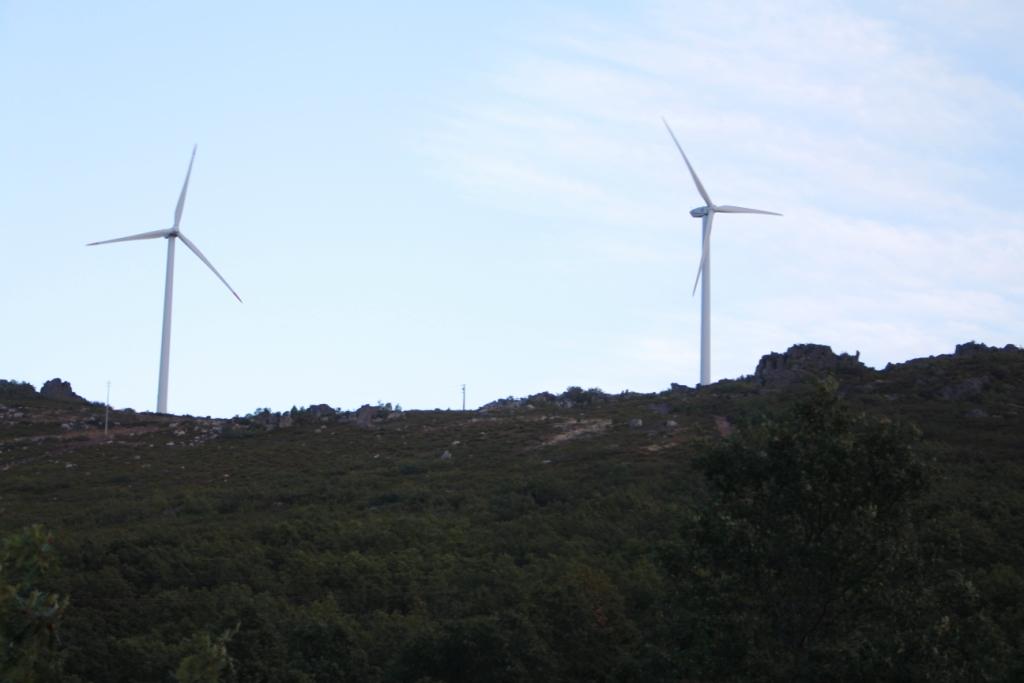 Autarca de Moncorvo desvaloriza críticas da Quercus sobre parque eólico