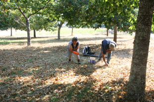 SEF fiscaliza mão-de-obra estrangeira em soutos de Bragança e Vinhais