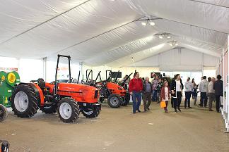 Rural Castanea pode vir a tornar-se numa feira agrícola