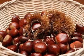 Produtores preocupados com escoamento da castanha
