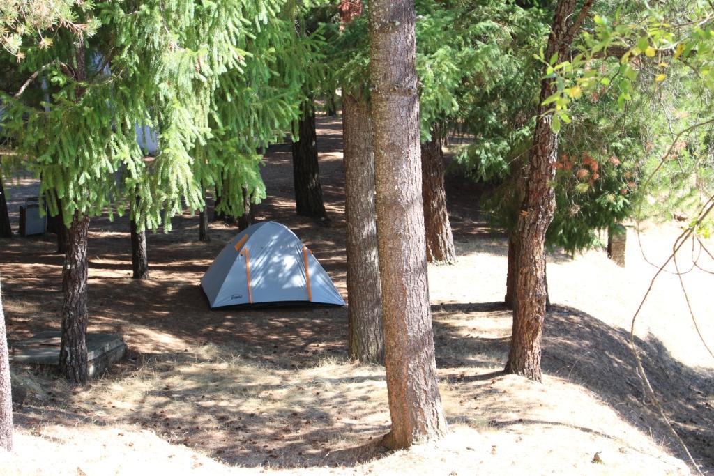 Quatro propostas para exploração do parque de campismo de Bragança
