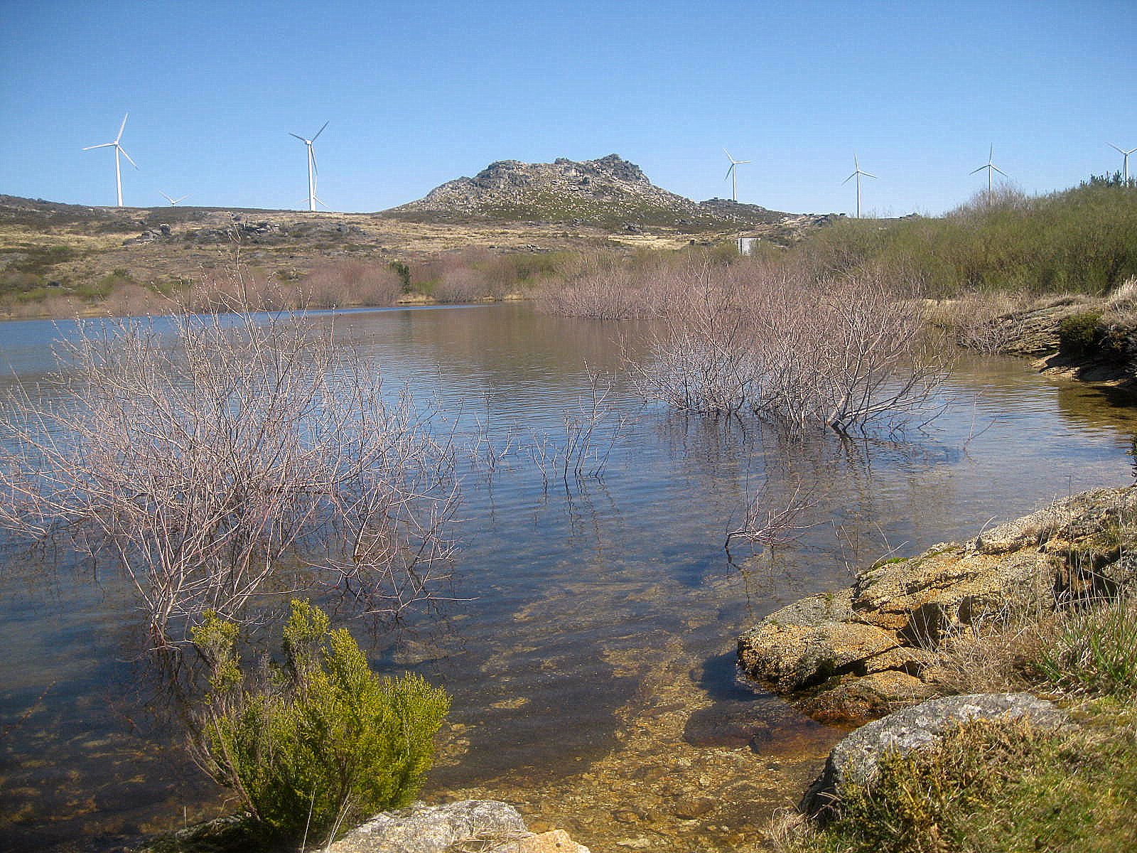 Barragem de Montesinho tem mais trutas